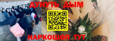 хмурый Краснодар