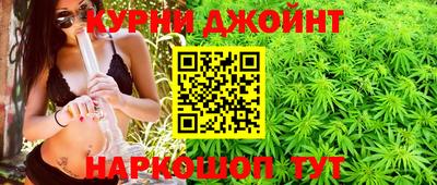 сатива Краснознаменск