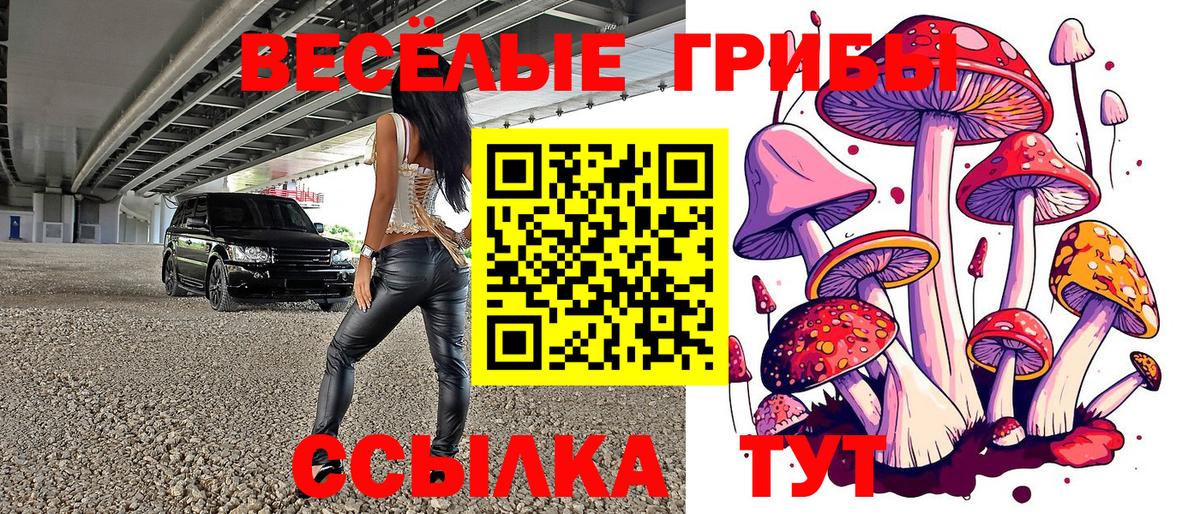 Псилоцибиновые грибы прущие грибы Фрязино
