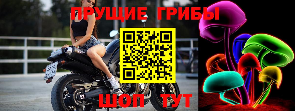 Псилоцибиновые грибы мицелий  Вход с VPN  Фрязино 